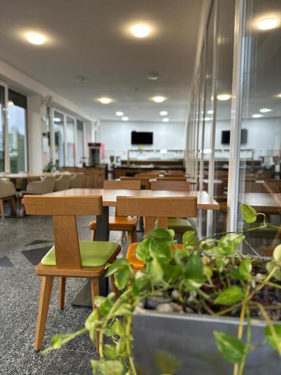 Prostor restorana sa zelenilom